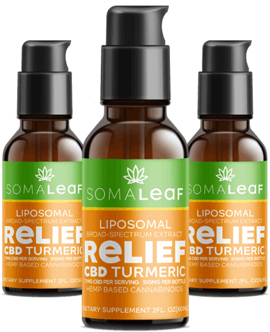 cbd turmeric relief buy